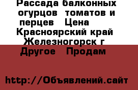 Рассада балконных огурцов, томатов и перцев › Цена ­ 40 - Красноярский край, Железногорск г. Другое » Продам   